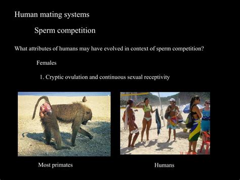 In this article, we'll explore the biology of sex -- otherwise known as <b>human</b> sexual reproduction. . Human mating process live